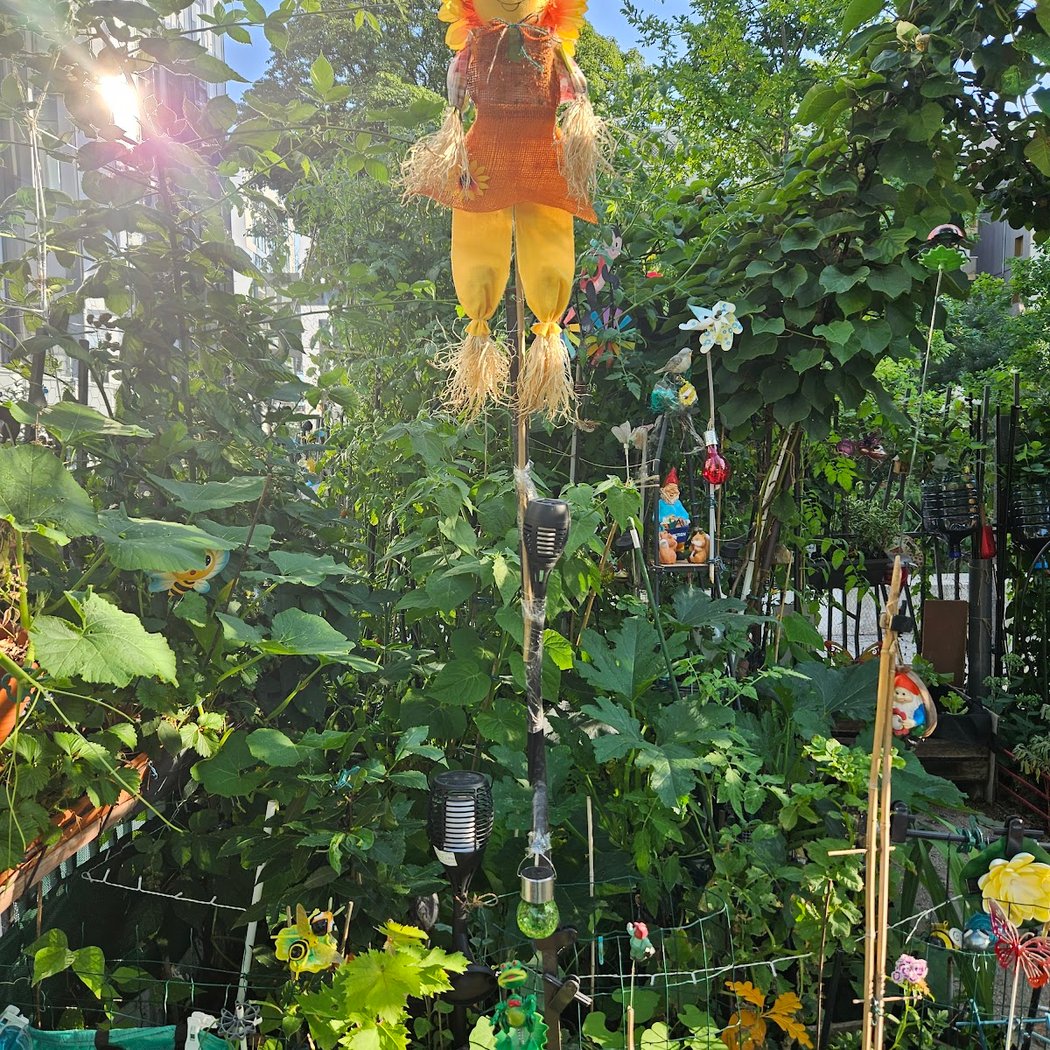 Les potagers du théâtre Victor Hugo 1
